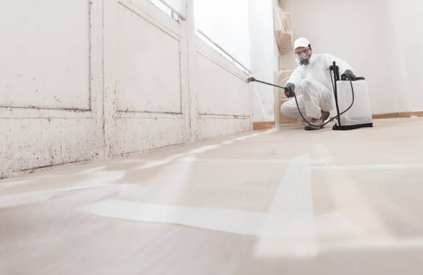 24/7 Emergency Basement Mold Remediation experts in Wilson, NC