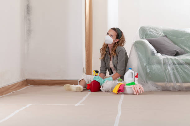 Reliable Basement Mold Remediation contractor in Wilson, NC by Mold Remediation HQ